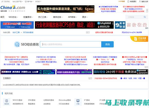 站长网址查询流程详解：助你成为网站管理的行家